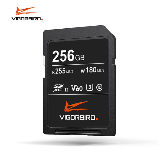 Vigorbird Titanium SDXC V60 256GB Memory Card